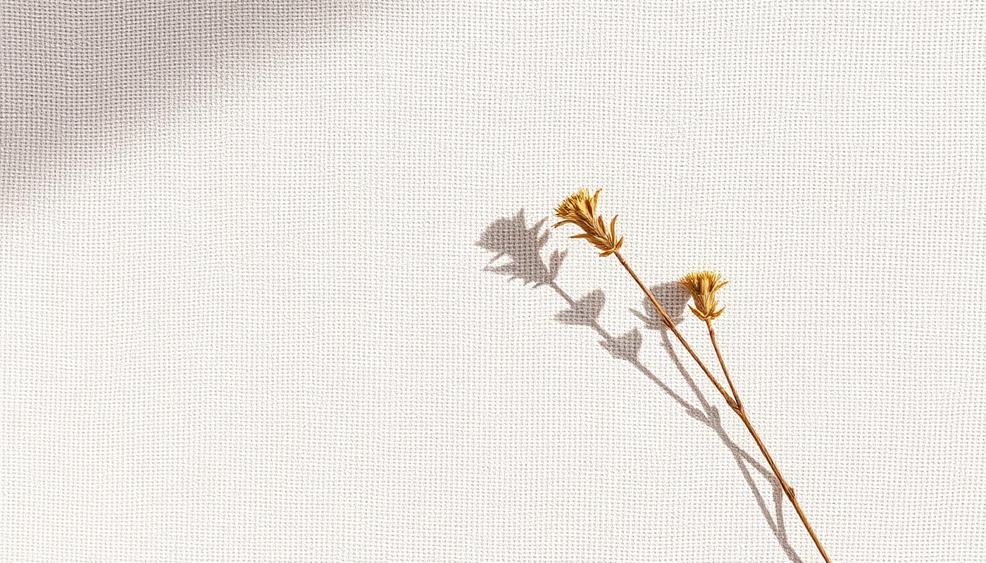 Soft natural linen texture with a dried botanical sprig